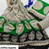 handblock print with chiffon dupatta ()
